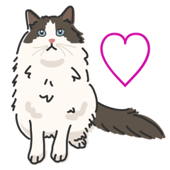 かわいい猫さん大集合