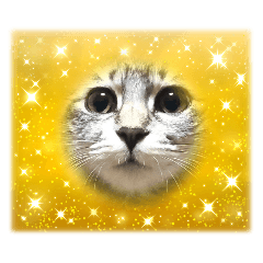 sayuri_20240731230510