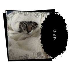 a0706_20240731224838