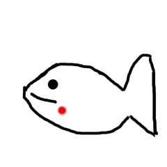 shark_20240801085607