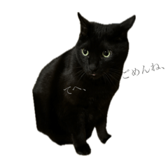 yasuco_20240801003939