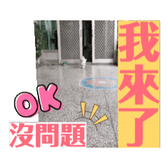 蔡球球的快樂退休生活