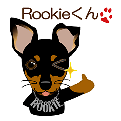 mamepin321*pinscher_Rookie.ver