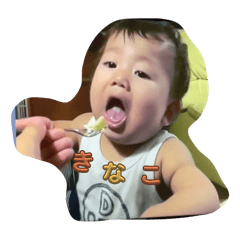 Kinaco_20240731154724