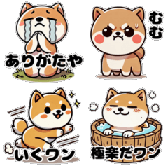 Shiba Inu's One Dafuru Story