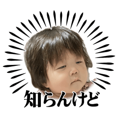 yh_20240801135209