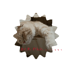 sayuri_20240801155012