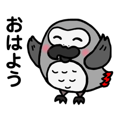 naokiti_20240731154050