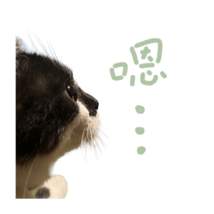 恭禧