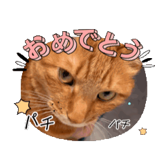 UNKO^ ^_20240801221845