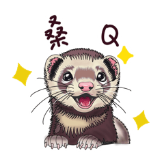 噗瓜-噗噗日常 – LINE貼圖 | LINE STORE
