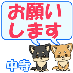 Nakatera's letters Chihuahua2