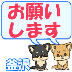 Kamazawa's letters Chihuahua2