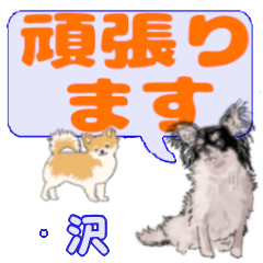 Kurumisawa's letters Chihuahua