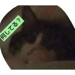 j+w-uwu-pjtpjt_20240801153132