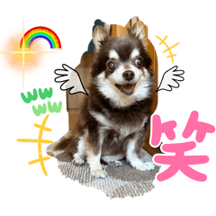 naono_20240801183117