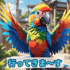 Daily Life of Kon-chan, the Macaw