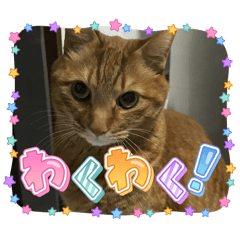 UNKO^ ^_20240801195814