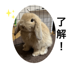 Kinaco_20240801221128