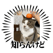 daijiro_20240801213105