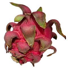 Food Series : Pitaya (Dragon Fruit) #6