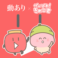 doari & KINOKO-KUN