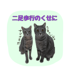 sayuri_20240802113040