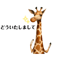 Funny cute animal stickers