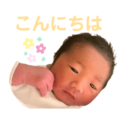 shelly_20240802141442