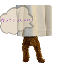 moamama_20240802205723