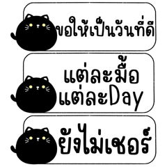 แมวอ้วนกลมแชท : ใช้ได้ทุกวันค่ะ