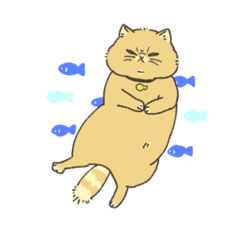 mi-pon_20240730184023