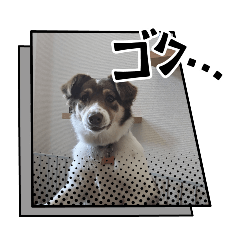 kosuke_20240802213820
