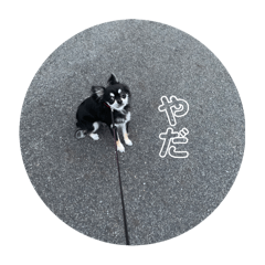 Aran_____