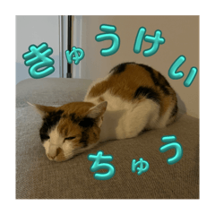 Babarin_20240803033548