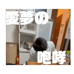 kokoko_20240803130948