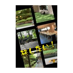 movie love_2024trip8