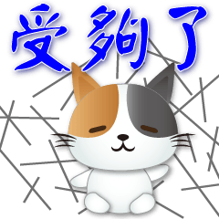 Cute Calico cat- -Practical greeting