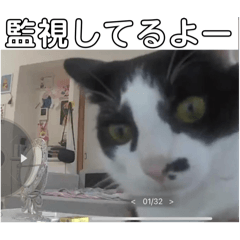 daleska_20240802153304