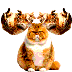 Animation fat cat