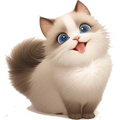 Ragdoll Kitty(Chinese)