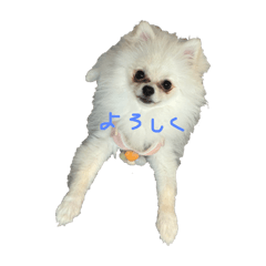 Ju_20240804015828