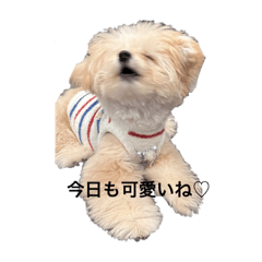 sobo_20240803190703