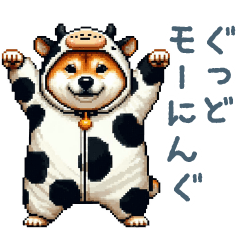 cow shiba dog