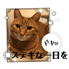 UNKO^ ^_20240803154216