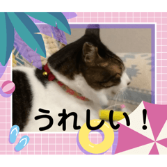 UNKO^ ^_20240803165445
