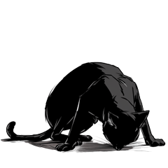 Pessimistic black cat - new