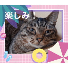 UNKO^ ^_20240803194052