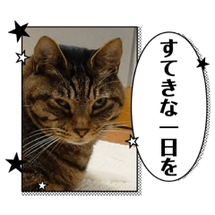 UNKO^ ^_20240803192346