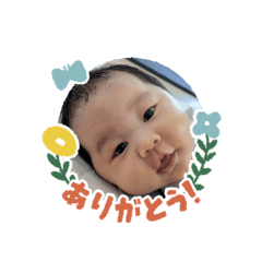 minorin_20240804121243